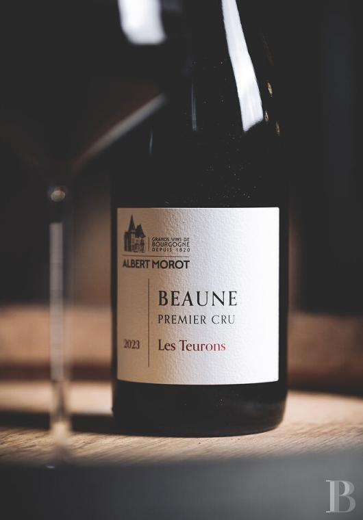En Bourgogne, à Beaune, un château de la Belle Époque au milieu de ses huit hectares de vignes - photo  n°38